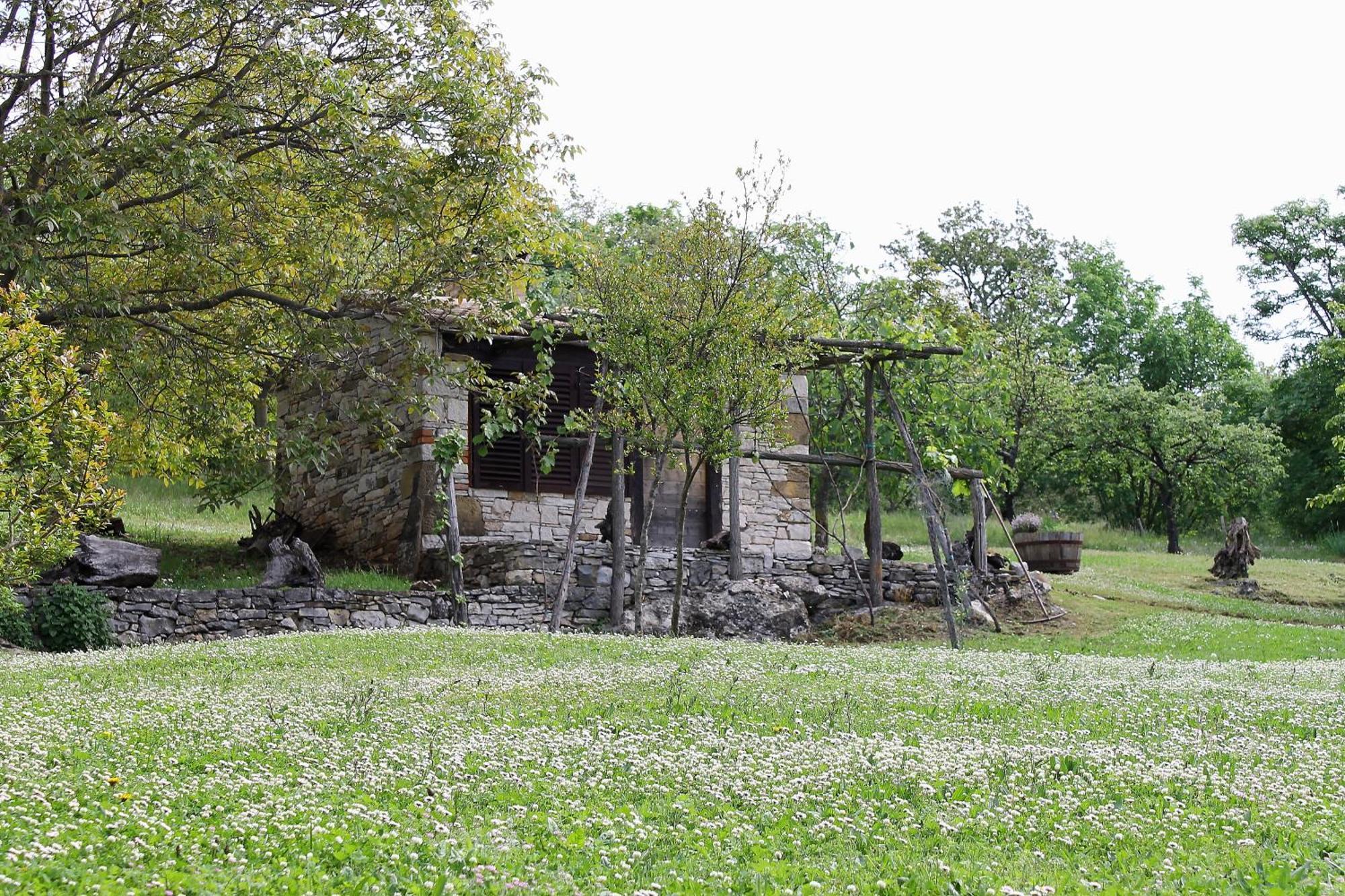 Apartments Mestri Groznjan Luaran gambar